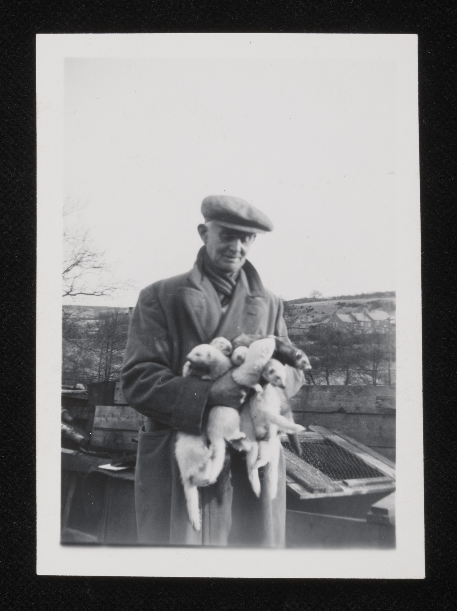 A person holding six ferrets
