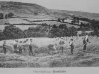 People in a field