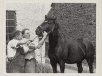 Two people and a horse