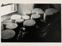 round cheeses on a table