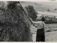 A person next to a haystack