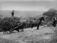 Two people, two horses and a cart of hay in a field