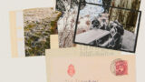 Hoar-frost. Collage of photographs and SED material.