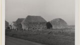 Thatched corn stacks in a field near Halidon Hill, Foulden (Berwickshire).