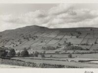 Field Wall Systems on Reeth Low Moor