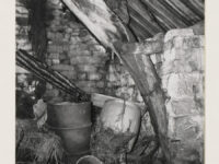Cruck construction in interior of cow byre and barn at Beech Farm, Ainthorpe