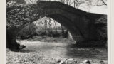 Old stone hump-backed bridge, with single pointed arch, over the River Cover near Coverham ( Coverdale).
