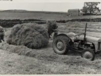 Two males placing armfuls of hay onto a wooden hay sledge drawn by a tractor in a field near Gayle ( Wensleydale).