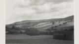 Anglo-Saxon strip lynchets in ancient arable fields near West Scrafton ( Coverdale). Stone barn in foreground.