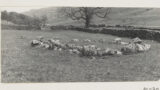 Remains of a small stone circle at Yockenthwaite ( Langstrothdale).