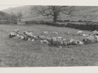 Remains of a small stone circle at Yockenthwaite ( Langstrothdale).