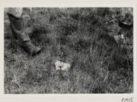 Stoutly-built, craftsman-made shepherd's boots made by Otway of Ambleside (Cumbria).