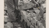 Mr. Tom Varley laying the first throughs across a dry stone wall at the height of around 2 feet from the ground, to bind the two wall face together ( Ribblesdale).