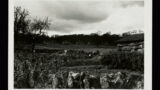 View looking over allotments towards the village of Sherborne (Gloucestershire).