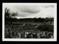View looking over allotments towards the village of Sherborne (Gloucestershire).