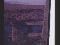Wooden stile over a wooden fence in a field at Greet, near Winchcombe (Gloucestershire).